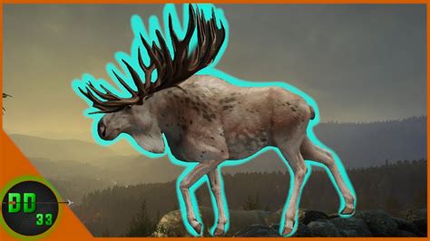 How to Spawn <b>Great</b> <b>One</b> <b>Moose</b> in theHunter: Call of the Wild A guide all about how to spawn your <b>Great</b> <b>One</b> <b>moose</b> and many diamonds on your Medved Taiga map! Features tips and tricks from iBUYpremiums, the creator of the new diamond-spawning method known as stacking and herd management, and LadyLegendXO. . Great one moose